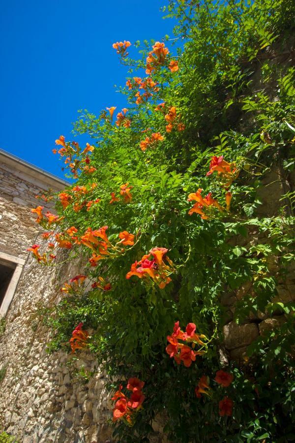 Apartman Ana Skradin Esterno foto